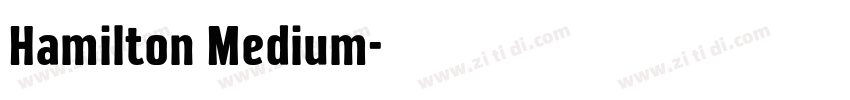 Hamilton Medium字体转换
